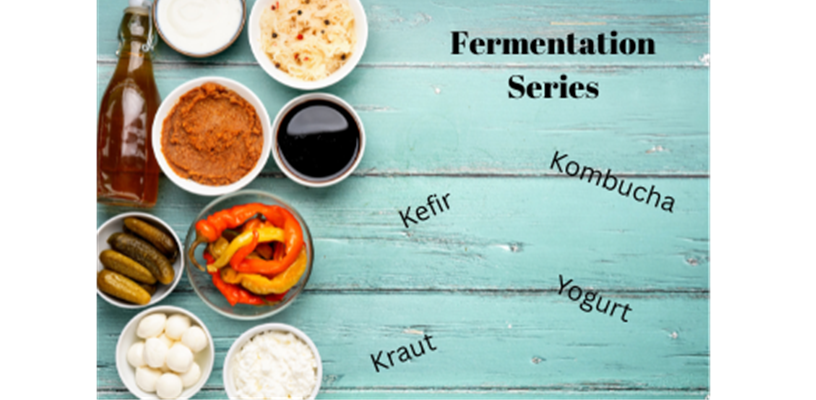 Fermentation Foundations: A 3-Week Online Series